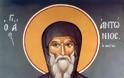 Βίος Αγίου Αντωνίου του Μέγα - Ο Άγιος Αντώνιος ο Μέγας εορτάζει στις 17 Ιανουαρίου [photo+video] - Φωτογραφία 4