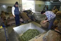 Στα 3 ευρώ το ελαιόλαδο στο Ηράκλειο - Πότε θα έχουμε νέα αύξηση- Δείτε τις τιμές σήμερα [Πίνακας]