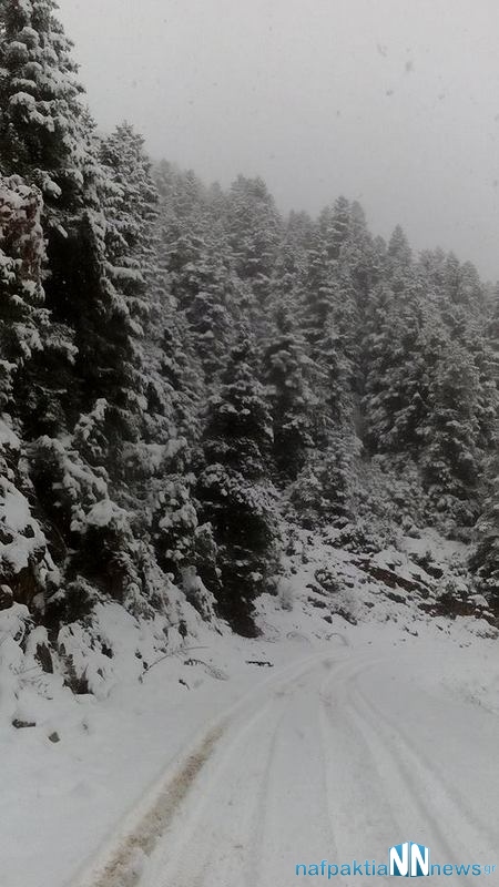 Νέες πανέμορφες εικόνες από την χιονισμένη Ορεινή Ναυπακτία [photos] - Φωτογραφία 3