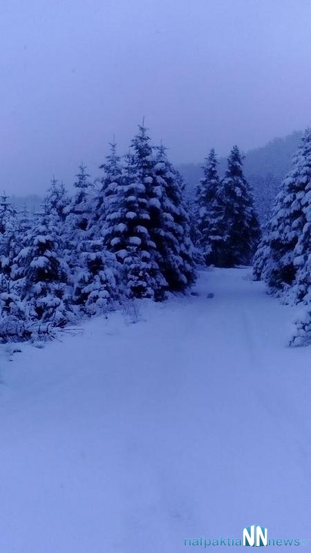 Νέες πανέμορφες εικόνες από την χιονισμένη Ορεινή Ναυπακτία [photos] - Φωτογραφία 9