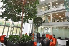 Αναγκαστική εκκένωση των γραφείων της Apple στην Ιρλανδία