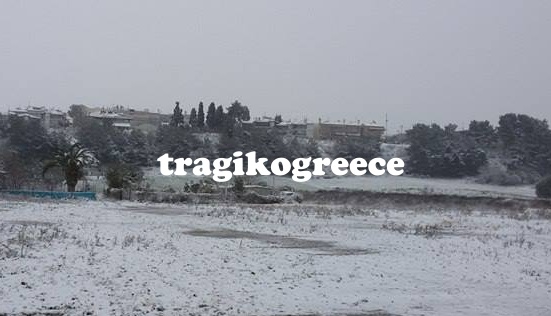 Στα λευκά ντύθηκε και η Χαλκιδική - Φωτογραφία 6