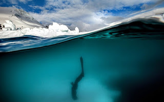 «Παγωμένη» βουτιά στην Ανταρκτική - Φωτογραφία 1