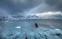 «Παγωμένη» βουτιά στην Ανταρκτική - Φωτογραφία 3