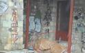 Σκληρές εικόνες στα Τρίκαλα: Άστεγος κοιμάται έξω στο χιόνι [photos+video] - Φωτογραφία 1