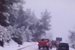 Λέσβος: Εγκλωβισμένοι στο χιόνι μετά από πολλά χρόνια μέσα στο δάσος - Δείτε τις απίστευτες φωτογραφίες
