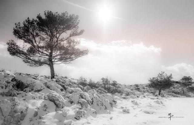 Χιονισμένα Τοπία του Αιγαίου [photos] - Φωτογραφία 21