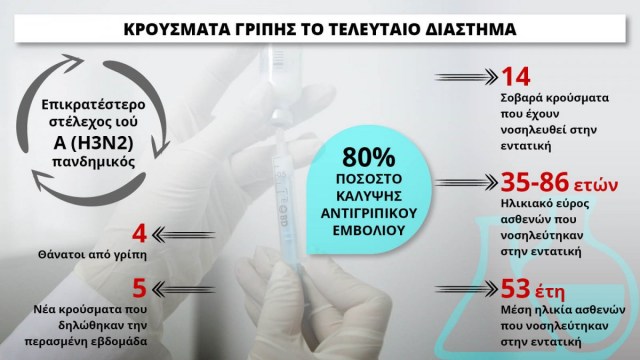 Νεκρός από την εποχική γρίπη στο Ναύπλιο - Φωτογραφία 2