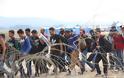 800 πρόσφυγες πέρασαν τα σύνορα προς την ΠΓΔΜ το τελευταίο 24ωρο