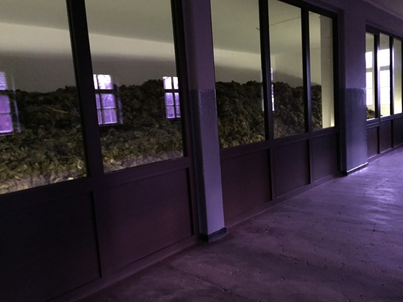 Αποστολή Άουσβιτς: Η μαύρη σελίδα στην ιστορία της Ευρώπης σε φωτογραφίες - Φωτογραφία 52