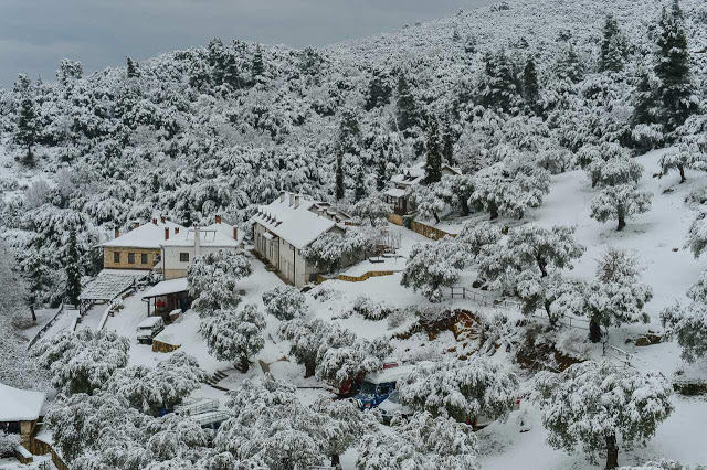7857 - Χειμώνας 2016 στο Χιλιανδάρι, με τον φακό του Μοναχού Μιλούτιν Χιλιανδαρινού - Φωτογραφία 5