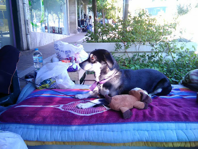Πρόσφεραν στέγη στον άστεγο νέο που κοιμόταν στους δρόμους της Νέας Σμύρνης μαζί με τον σκύλο του - Φωτογραφία 2