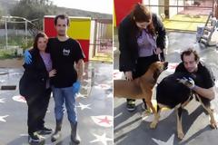 Πρόσφεραν στέγη στον άστεγο νέο που κοιμόταν στους δρόμους της Νέας Σμύρνης μαζί με τον σκύλο του