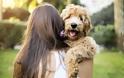 14 τρόποι να γίνει το σκυλί σου χαρούμενο