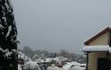 7879 - Χιόνια στο Εσφιγμενίτικο Αντιπροσωπείο στις Καρυές - Φωτογραφία 2