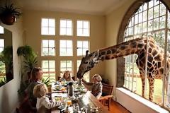 ΔΕΙΤΕ: Τέσσερα πραγματικά παράξενα κατοικίδια…