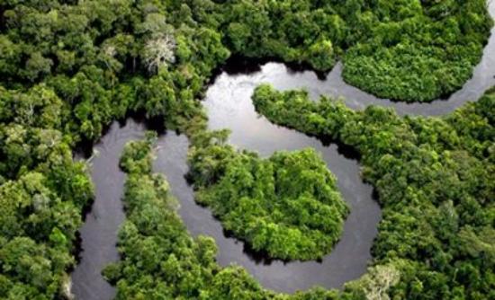 Εκστρατεία για τη διάσωση του Αμαζονίου - Φωτογραφία 1