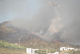 Υπό μερικό έλεγχο η φωτιά στη Νάξο (φωτο+βίντεο) - Φωτογραφία 1