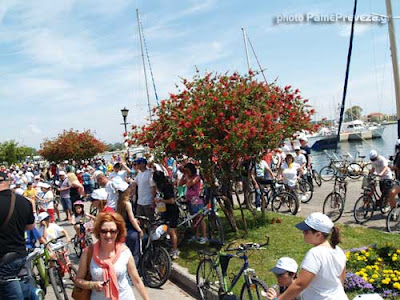Η Πρέβεζα ψήφισε Ποδήλατο - Μεγαλύτερη από κάθε άλλη χρονιά η συμμετοχή του κόσμου [video & photo] - Φωτογραφία 3