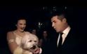VIDEO: Ο σκύλος – χορευτής κέρδισε στο Βρετανία έχεις ταλέντο 500.000 λίρες!