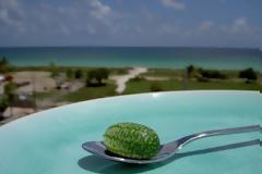 Τα μικρότερα καρπούζια του κόσμου