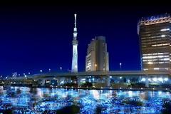 Ένα φωτεινό «ποτάμι» ρέει στην πόλη!