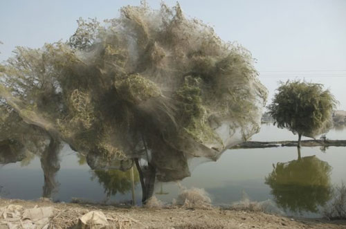 Ένα απίστευτο φαινόμενο στο Πακιστάν (photos) - Φωτογραφία 4