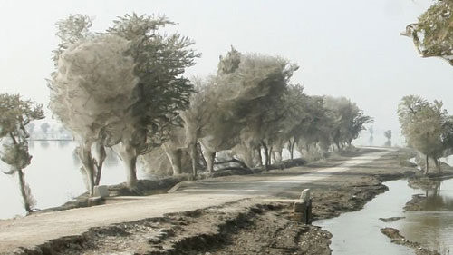 Ένα απίστευτο φαινόμενο στο Πακιστάν (photos) - Φωτογραφία 5