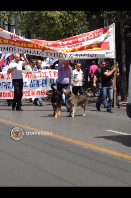 H πορεία έφτασε στον ΣΕΒ... - Φωτογραφία 2