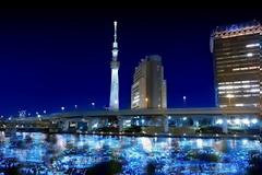 Χιλιάδες σφαίρες LED δημιούργησαν ποτάμι φωτός στην Ιαπωνία (Videos)