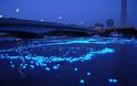 Χιλιάδες σφαίρες LED δημιούργησαν ποτάμι φωτός στην Ιαπωνία (Videos) - Φωτογραφία 2