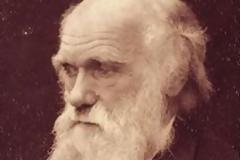 Το φρικιαστικό πείραμα του Δαρβίνου επιστρέφει [φωτο]