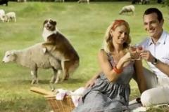 Όταν ο σκύλος σας θέλει να φωτογραφηθεί, θα το κάνει θέλετε δε θέλετε