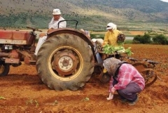 Πώς μπορεί να αναπτυχθεί η αγροτική επιχειρηματικότητα - Φωτογραφία 1