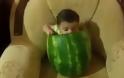 Μωρό έχει μπει μέσα σε καρπούζι και το τρώει... [Video]
