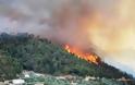 Αντιμετώπιση Δασικών Πυρκαγιών 2012