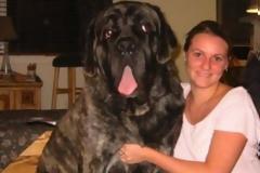 ΦΩΤΟ: «Σκυλάκια» που δεν χωρούν σε διαμέρισμα