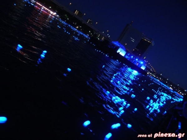 ΔΕΙΤΕ: Έριξαν 100.000 φώτα LED σε ποταμό! - Φωτογραφία 15