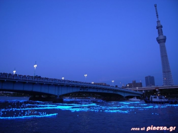 ΔΕΙΤΕ: Έριξαν 100.000 φώτα LED σε ποταμό! - Φωτογραφία 2