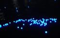 ΔΕΙΤΕ: Έριξαν 100.000 φώτα LED σε ποταμό! - Φωτογραφία 10