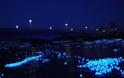 ΔΕΙΤΕ: Έριξαν 100.000 φώτα LED σε ποταμό! - Φωτογραφία 13