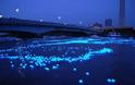 ΔΕΙΤΕ: Έριξαν 100.000 φώτα LED σε ποταμό! - Φωτογραφία 6