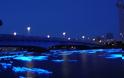 ΔΕΙΤΕ: Έριξαν 100.000 φώτα LED σε ποταμό! - Φωτογραφία 8