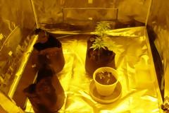 Είχαν μετατρέψει το διαμέρισμά τους σε θερμοκήπιο καλλιέργειας κάνναβης