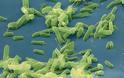 Αιωνόβια μικρόβια ξεπερνούν τα όρια ζωής και θανάτου