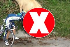 Τι κάνεις εκεί κ. ποδηλάτη;;;