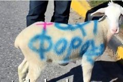 ΤΡΙΚΑΛΑ: Αγρότες και κτηνοτρόφοι μοίρασαν 5.000 μπουκάλια φρέσκο γάλα στο μπλόκο - Εφεραν και τον μικρό Αλέξη... [photos+video]