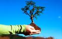 Θεσσαλονίκη:Τέσσερις χιλιάδες δέντρα φυτεύτηκαν σε περιοχή της Ευκαρπίας