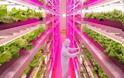 Ιαπωνία: Το πρώτο πλήρως αυτοματοποιημένο αγρόκτημα στον κόσμο θα λειτουργήσει το 2017