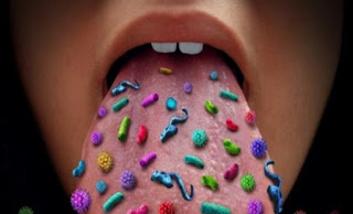 Τα βακτήρια που «φιλοξενεί» το ανθρώπινο στόμα - Φωτογραφία 1